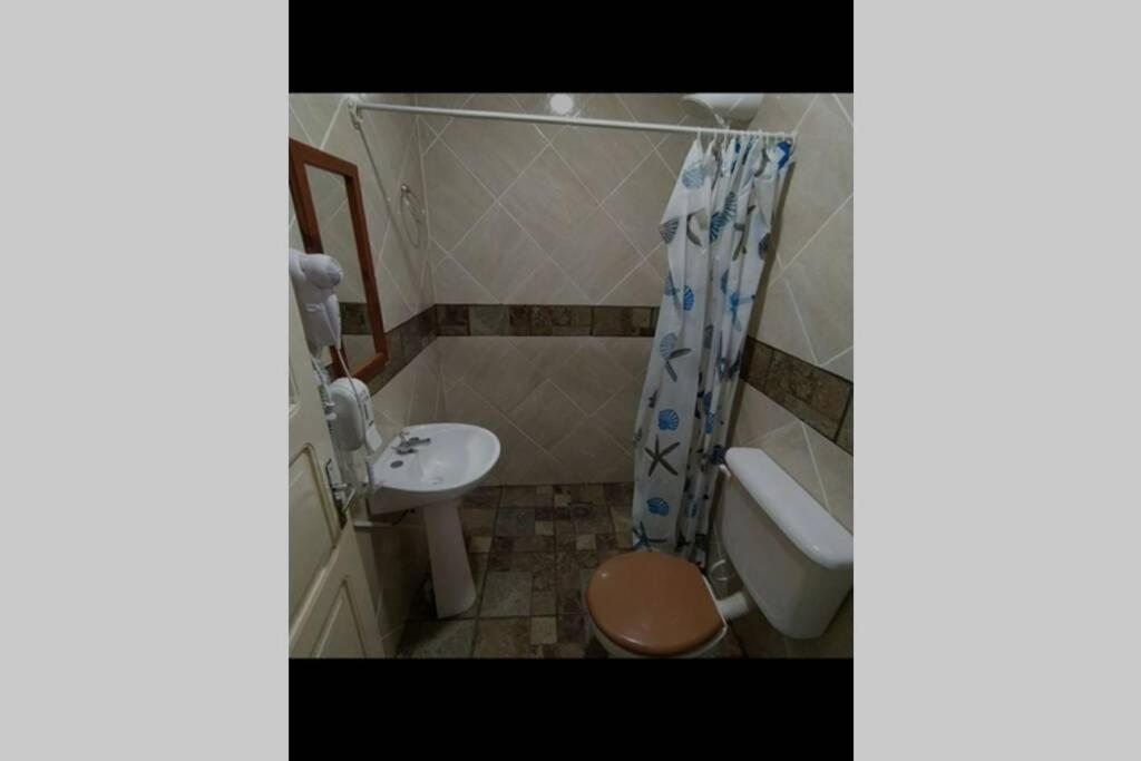 Hostel Guazu Puerto Iguazú Exteriör bild