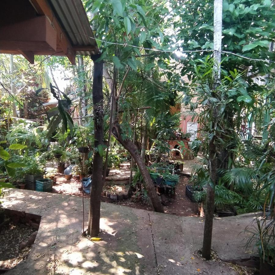 Hostel Guazu Puerto Iguazú Exteriör bild