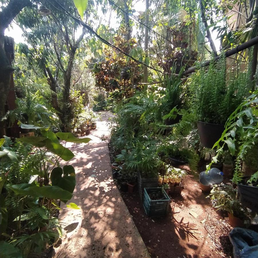 Hostel Guazu Puerto Iguazú Exteriör bild