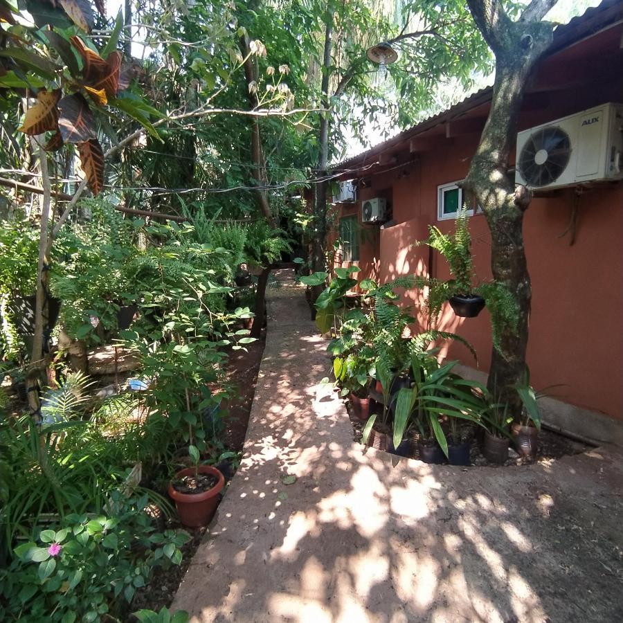 Hostel Guazu Puerto Iguazú Exteriör bild