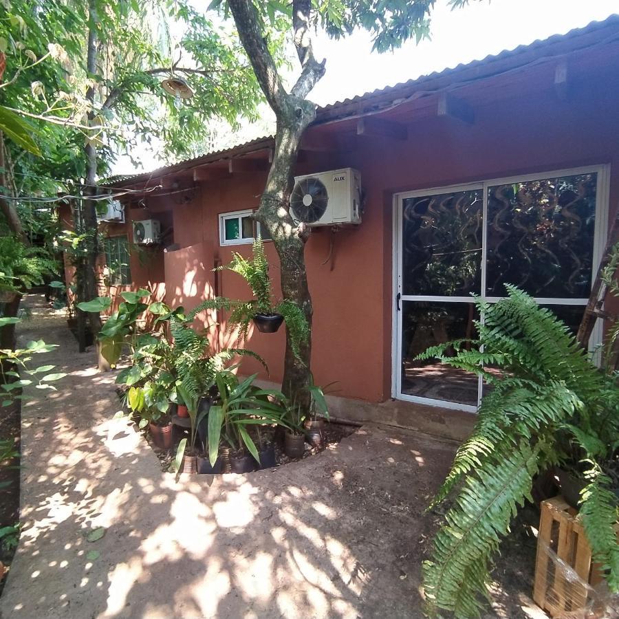 Hostel Guazu Puerto Iguazú Exteriör bild