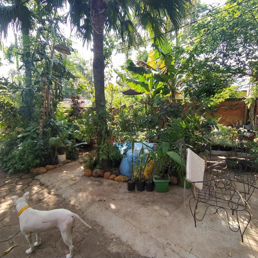 Hostel Guazu Puerto Iguazú Exteriör bild