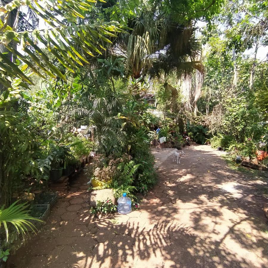 Hostel Guazu Puerto Iguazú Exteriör bild