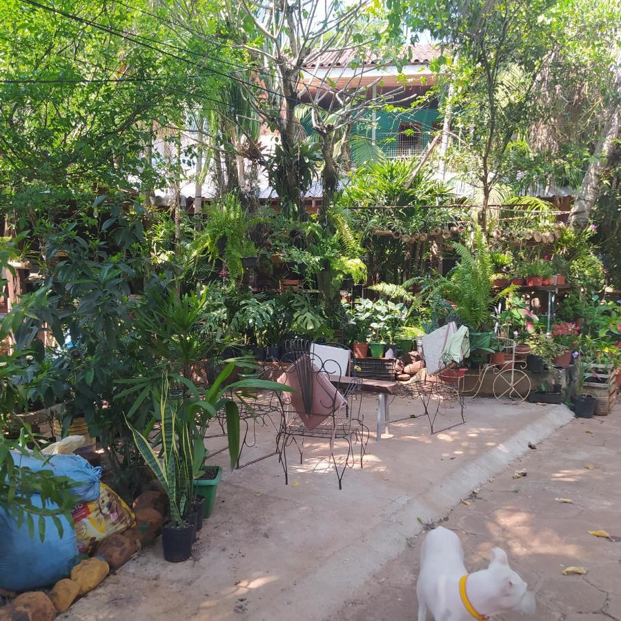 Hostel Guazu Puerto Iguazú Exteriör bild